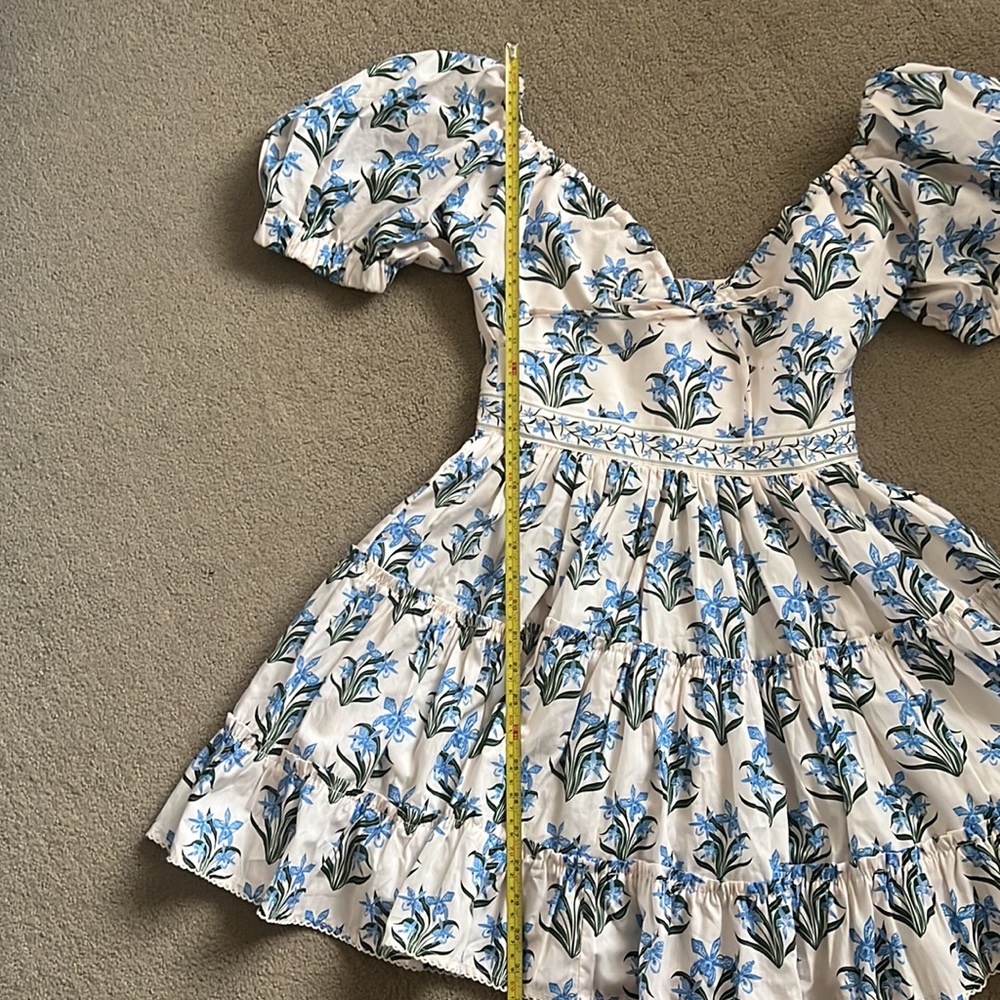 Agua by Agua Bendita Blue and White Floral Mini Dress - Picture 6 of 11